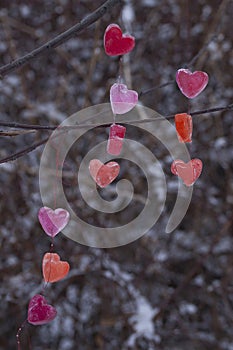 Icy colored hearts hanging on branches, valentine`s day card,