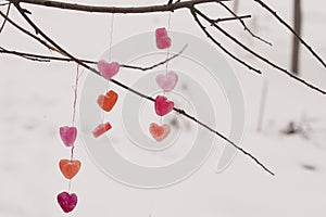 icy colored hearts hanging on branches, valentine`s day card,