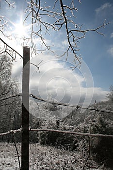 Icy Fence