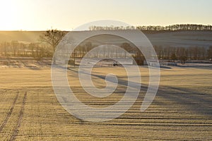 icy fields of ThÃ¼rer Wiesen in December