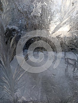 Icy frost patterns on the glass. Severe frost