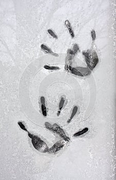 Icy Hands on a Window Pane Glass