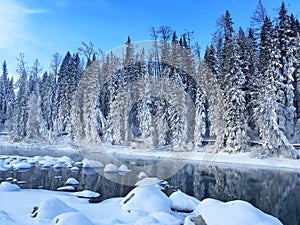 Icy Kanas Forest in Winter