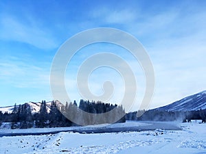 Icy Kanas Lake Forest in Winter