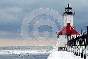 Icy lighthouse and birds photo