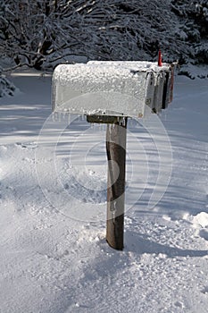 Icy Mailboxes