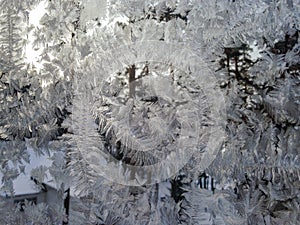 Icy patterns on the winter glass. Fabulous patterns.