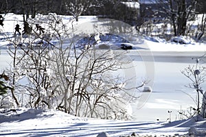 icy pond with fresh snow covering from New ENgland snow storm