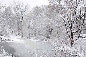 Icy Pond in New England