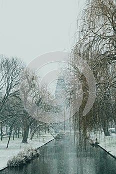 Icy river in a park covered in snow