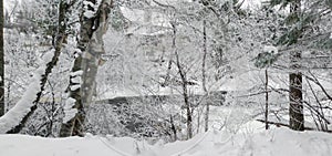 Icy river in the Canadian winters in Quebec photo