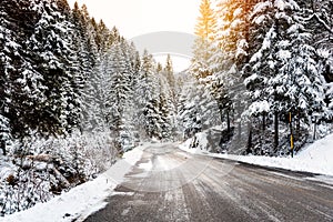 Icy Road through a Snowy Forest in the Mountains Warmly Lit by a Setting Sun in Winter