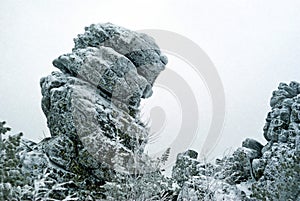 Icy rock above the subarctic forest photo