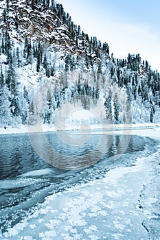 Icy shore of lake with snowy forest