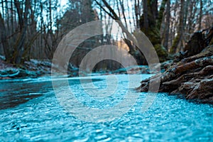 Icy stream near the woods