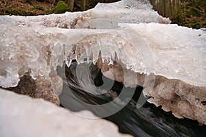 an icy stream runs through the woods near rocks and trees