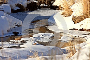 Icy Stream in Winter