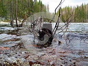 An icy stump