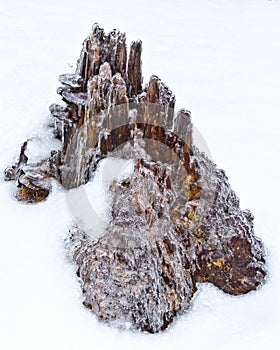 Icy stump like mini mountain