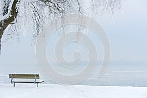 Icy Tree on an Icy Lake II