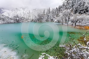 Icy water in Colored Lake in the winter