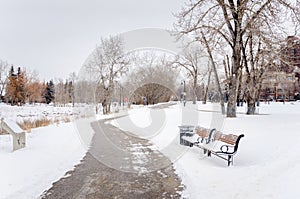 Icy Winding Path on a Cloudy Winter Day