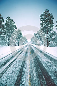 Icy Winter Road