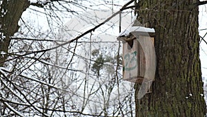 Icy wooden Homemade feeder for feeding birds in winter. The concept of hunger and survival of birds in winter. Bird