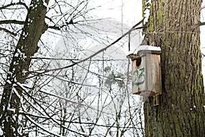 Icy wooden Homemade feeder for feeding birds in winter. The concept of hunger and survival of birds in winter. Bird