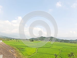 ID: 817, Wallpaper, Mountains and hills Blue sky green fields with dreamy clouds in the air