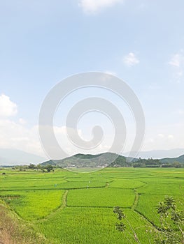 ID: 823, Wallpaper, Mountains and hills Blue sky green fields with dreamy clouds in the air