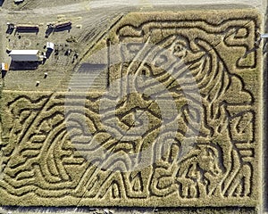 Idaho corn maze with trails and patterns