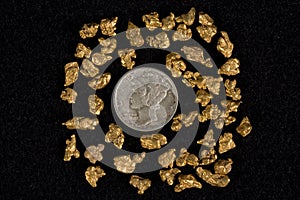 Idaho Placer Gold Nuggets photo