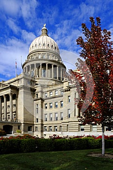 Idaho State Capital Building in Fall Autumn Leaves