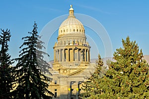 Idaho state capital building and pine trees