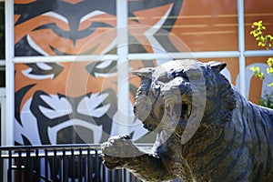 Idaho State University Bengal Tiger Statute Mascot Pocatello College
