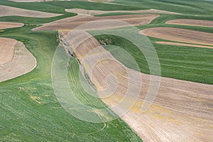 The Idaho and Washington Palouse landscape