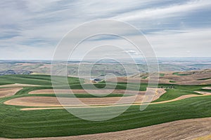 The Idaho and Washington Palouse landscape