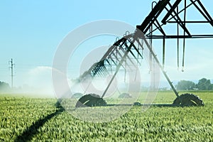 An idaho wheat field and irrigation system