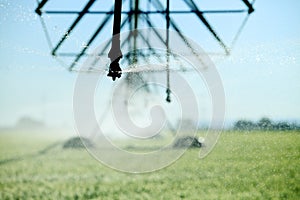 An idaho wheat field and irrigation system