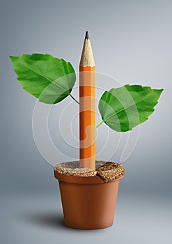 Idea creative concept, pencil with leaves grow from pot