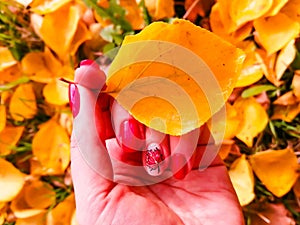 The idea of the original autumn manicure. Red nails manicured with gel polish against the background of autumn nature