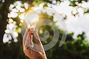 idea solar energy in nature, hand holding light bulb photo