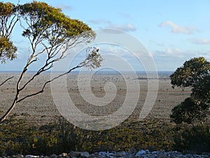 Ideal flat savannah. photo