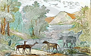 Ideal landscape of the eocene period, vintage engraving