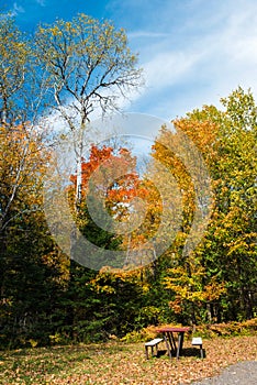 An ideal place for rest, surrounded by colourful fall trees