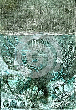 Ideal view of the land and the seas at the beginning of the Silurian period, vintage engraving photo