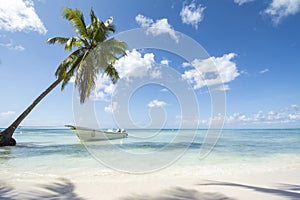 Idealic Caribbean coastline with boat photo