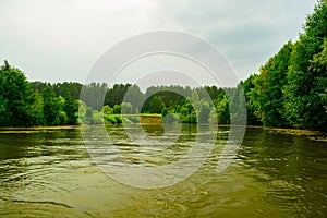 Idealistic landscape of fresh river with calm water in the forest