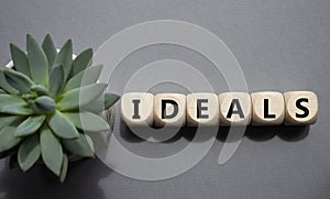 Ideals symbol. Wooden blocks with word Ideals. Beautiful grey background with succulent plant. Business and Ideals concept. Copy